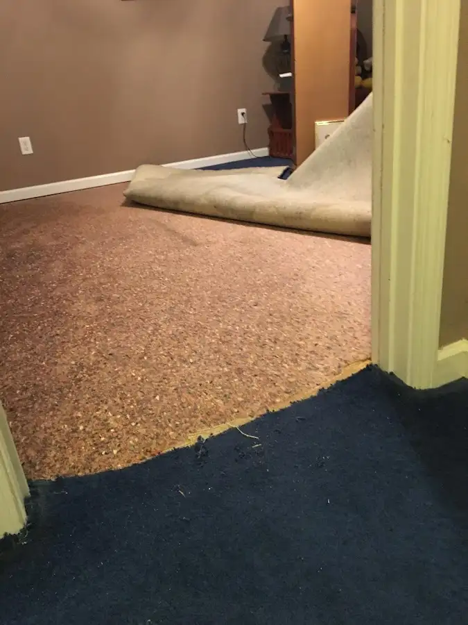 Carpet pad removal revealing water damage during Drying & Dehumidification in West York